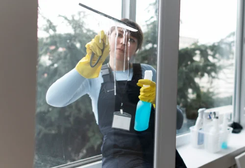 Nettoyage de vitres intérieures et extérieures à Nébias